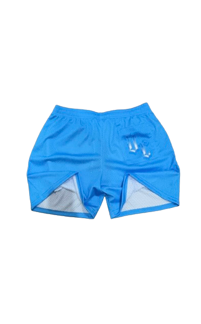 Venice Blue Mesh